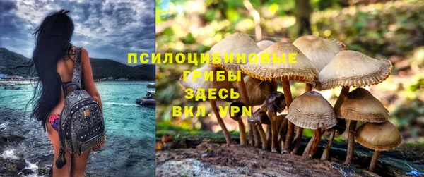 скорость Алзамай