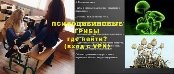 скорость Алзамай