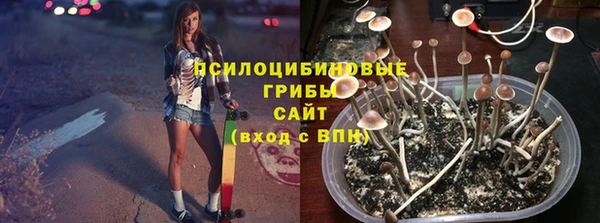 скорость Алзамай
